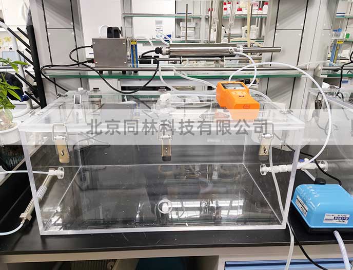 大鼠小鼠動物臭氧染毒實驗方案